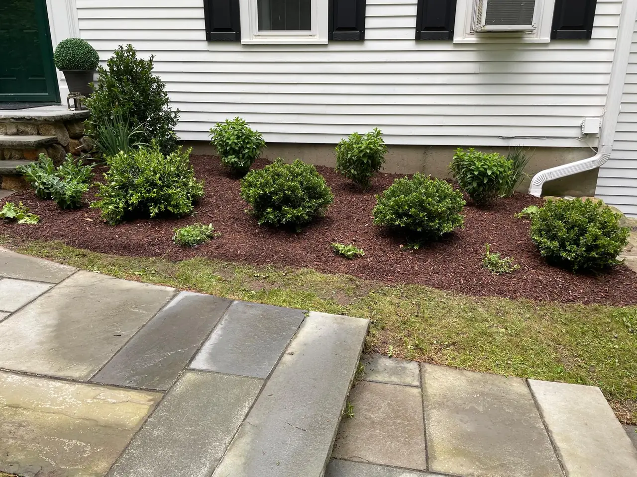 Fresh mulch and neatly shaped shrubs beside a stone walkway