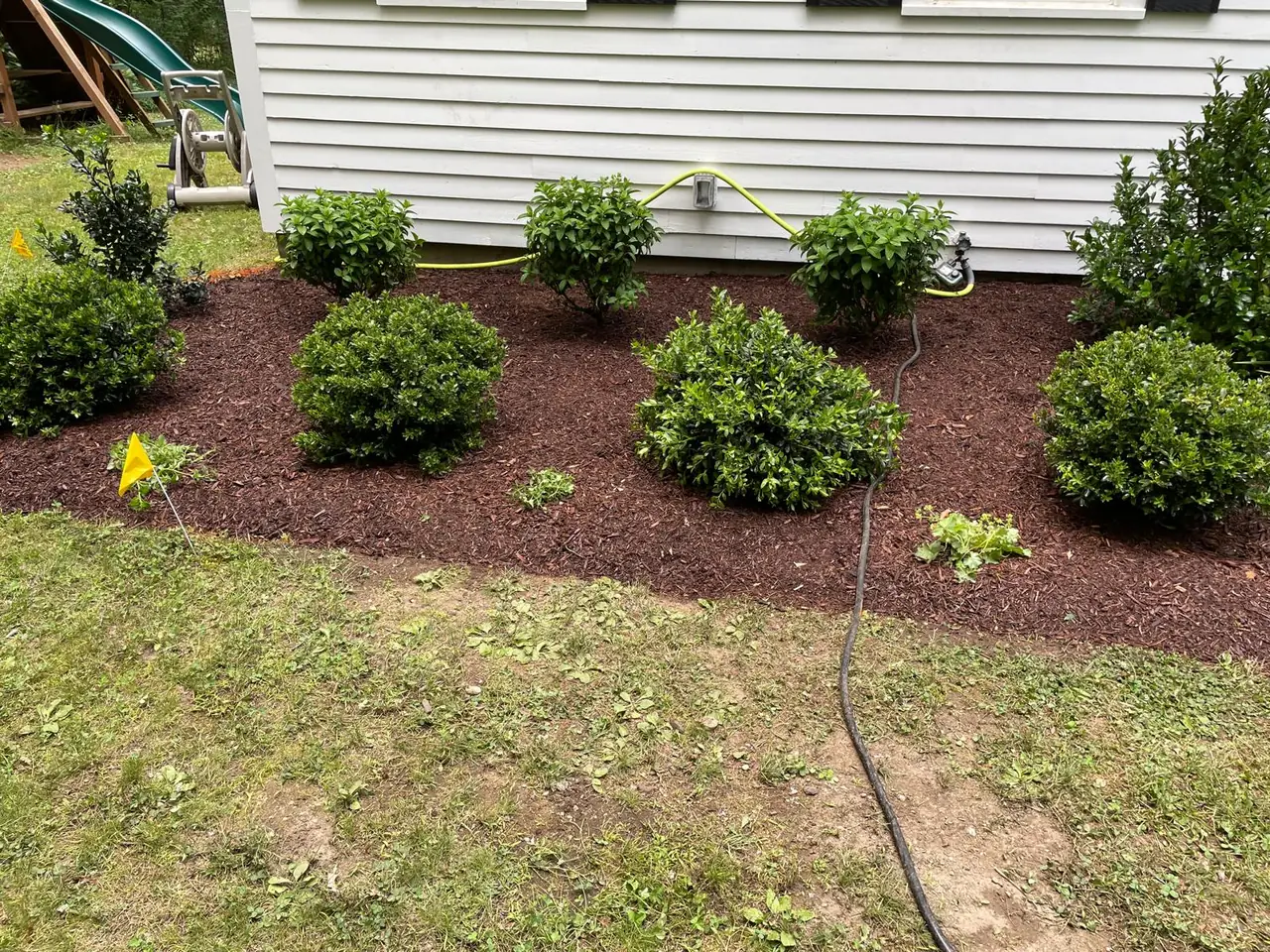 Fresh mulch bed with tools and irrigation flags during work