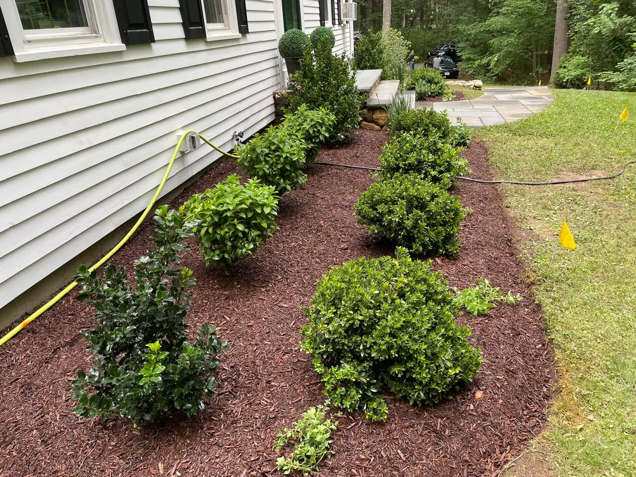 Finished foundation bed beside a bluestone walk