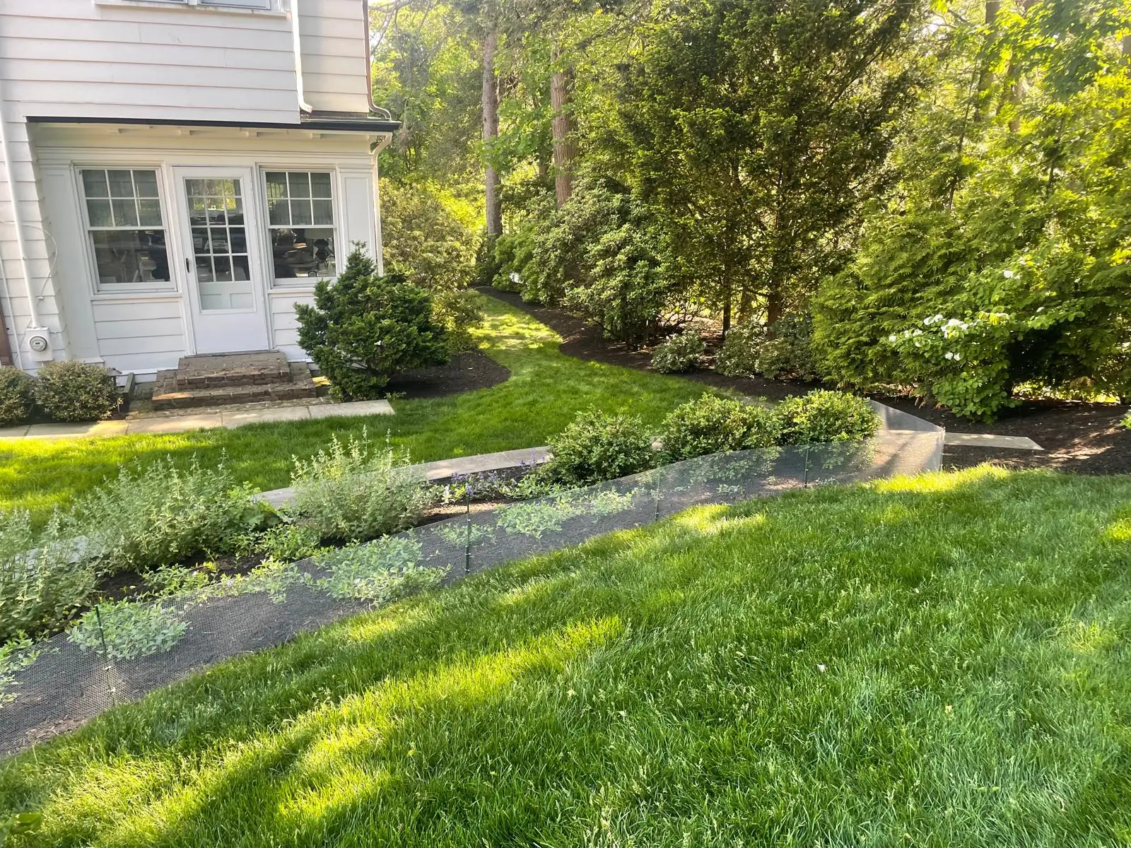 Maintained lawn and garden beds surrounding a Massachusetts home