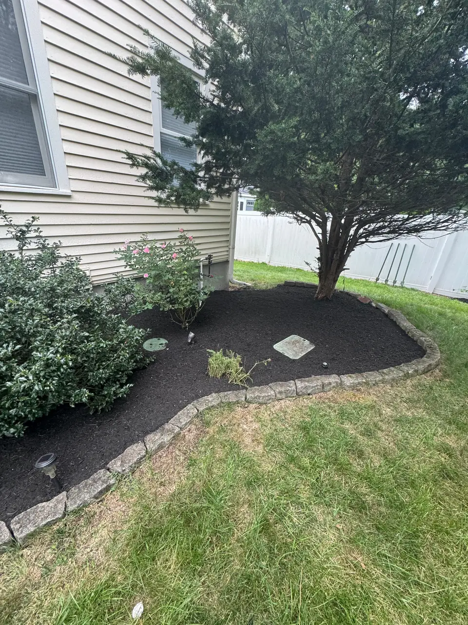 Freshly mulched bed around mature planting with stone edge