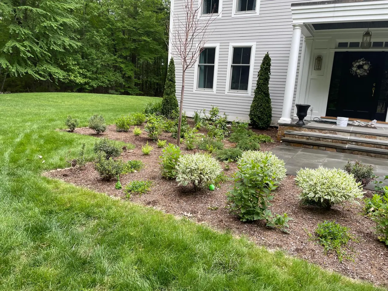 Gray home with layered shrubs and a young ornamental tree