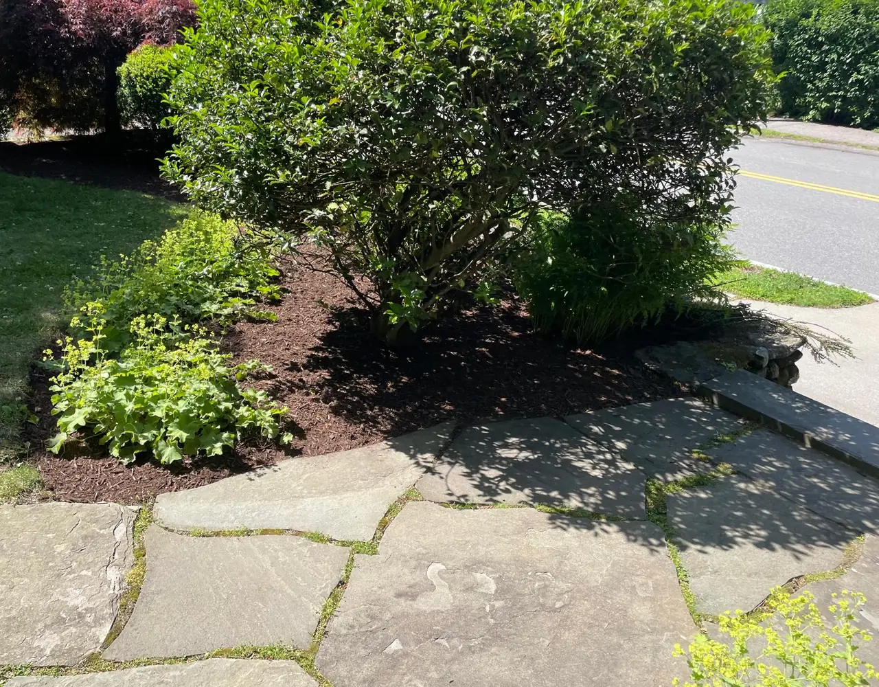 Stone entry steps beside a maintained mulched garden bed